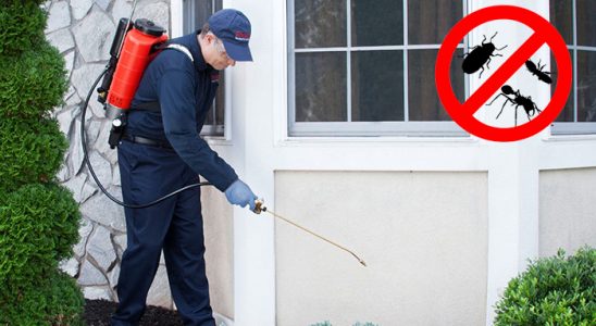 Pancar Akrep İlaçlama böcek ilaçlama ve haşere kontrolü — ilaclama-tr.com
